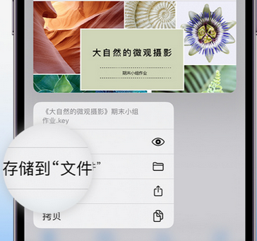 铁山apple维修中心分享iPhone文件应用中存储和找到下载文件