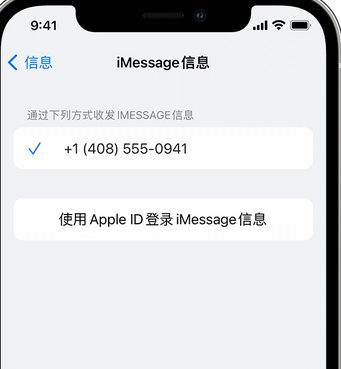 铁山apple维修iPhone上无法正常发送iMessage信息 