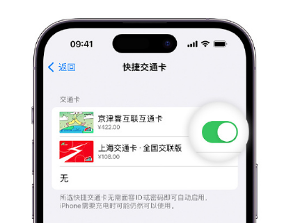 铁山apple维修点分享iPhone上更换Apple Pay快捷交通卡手绘卡面 