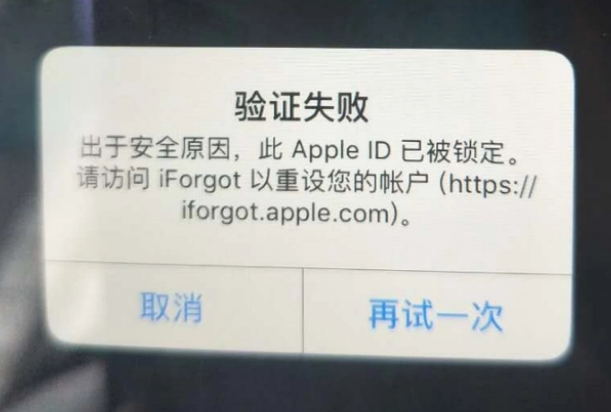 铁山iPhone维修分享iPhone上正常登录或使用AppleID怎么办 