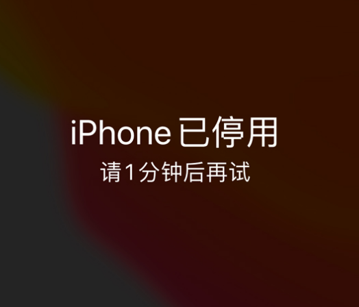 铁山苹果手机维修分享:iPhone 显示“不可用”或“已停用”怎么办？还能保留数据吗？ 