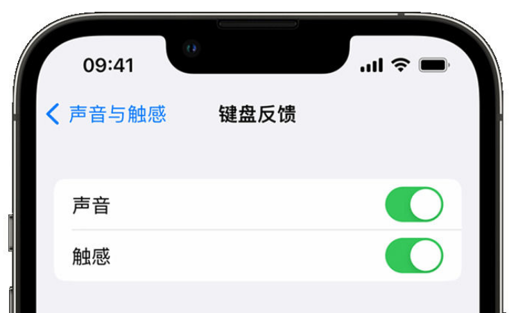 铁山苹果手机维修分享iPhone 14触感键盘使用方法 