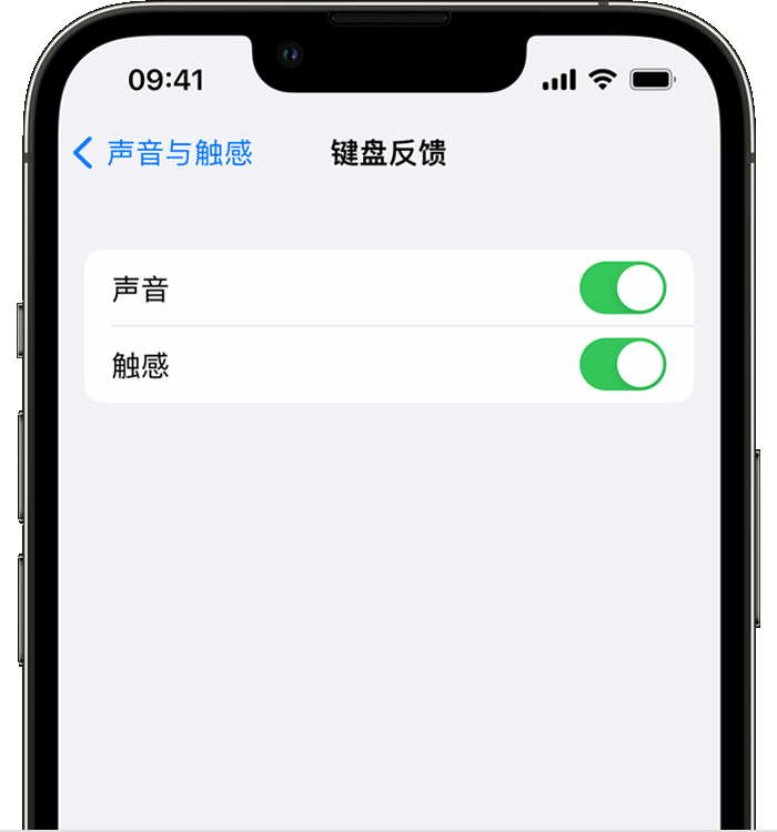 铁山苹果14维修店分享如何在 iPhone 14 机型中使用触感键盘 