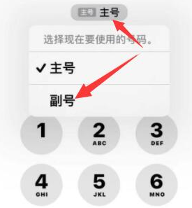 铁山苹果14维修店分享iPhone 14 Pro Max使用副卡打电话的方法 