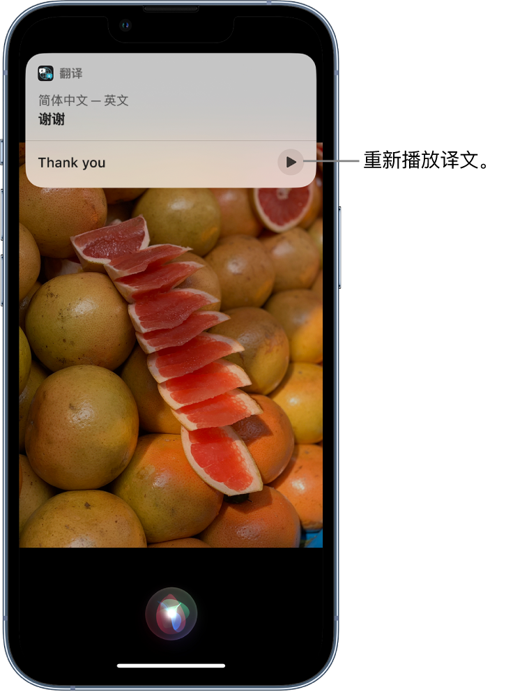 铁山苹果14维修分享 iPhone 14 机型中使用 Siri：了解 Siri 能帮你做什么 