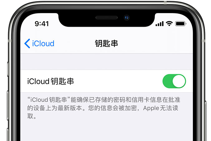 铁山苹果手机维修分享在 iPhone 上开启 iCloud 钥匙串之后会储存哪些信息 