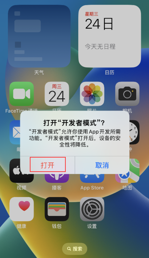 铁山苹果手机维修分享如何打开开发者模式 