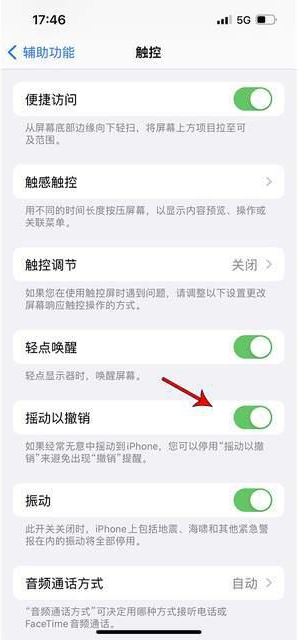 铁山苹果手机维修分享iPhone手机如何设置摇一摇删除文字 