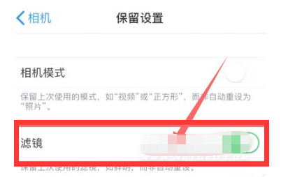 铁山苹果13维修分享iPhone13拍照有绿点是怎么回事 