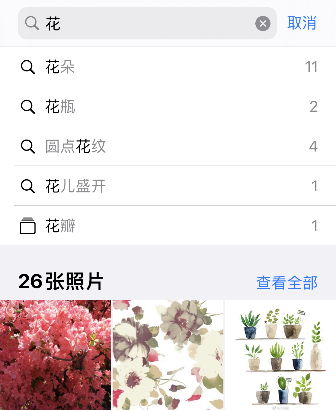铁山苹果手机维修分享iPhone 小技巧 