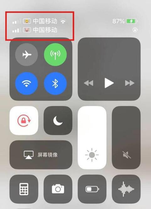 铁山苹果手机维修分享为 iPhone 12 双卡设置标签 