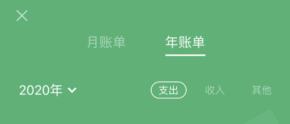 铁山苹果手机维修分享如何在 iPhone 上查看支付宝和微信年支出账单 